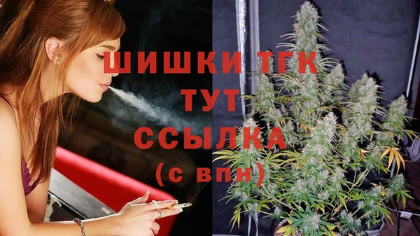 MESCALINE Горняк