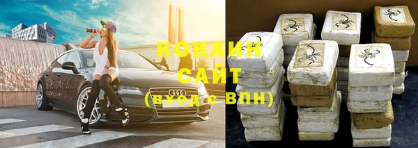 стаф Сосновый Бор